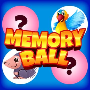 Memory Card